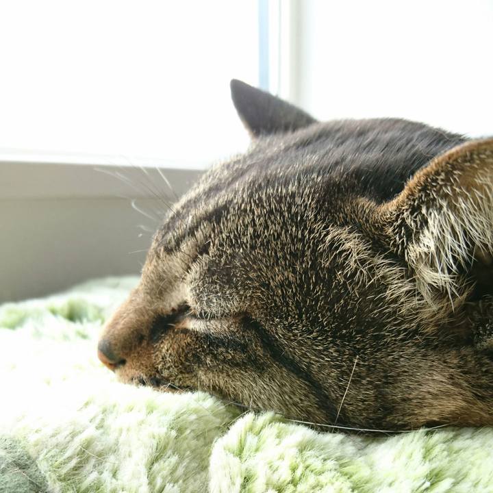 94cde32f 222a 4907 a42b 6707320bef20