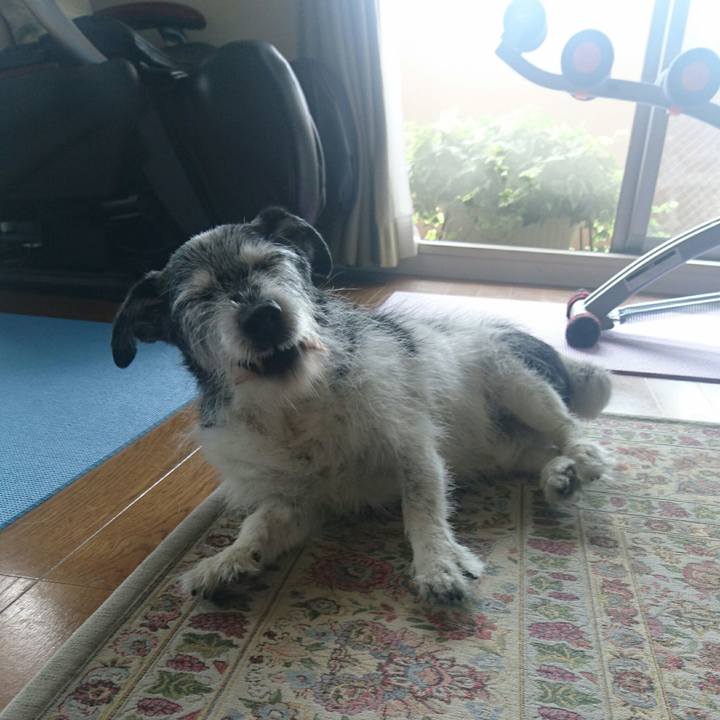 94cf55c5 9f48 4de8 beb7 05b96653ccab