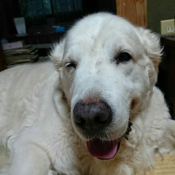 94cf8781 cb0d 4bef a986 ddec37dfb1ee