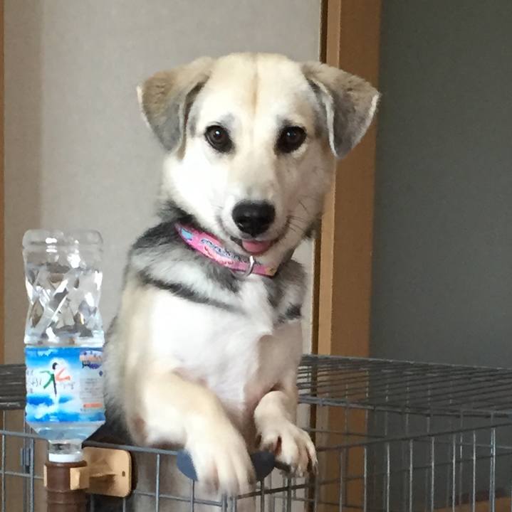 94d09574 daa5 42d2 be6e 442dc5de06e8