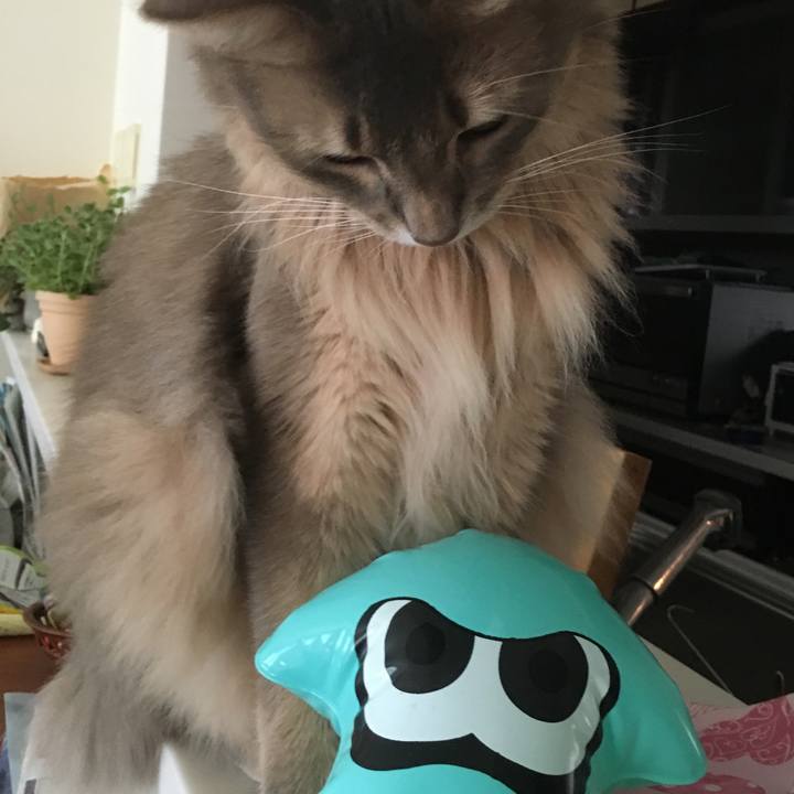 94d16fde 2616 4d4f accb 3ae58dd68033