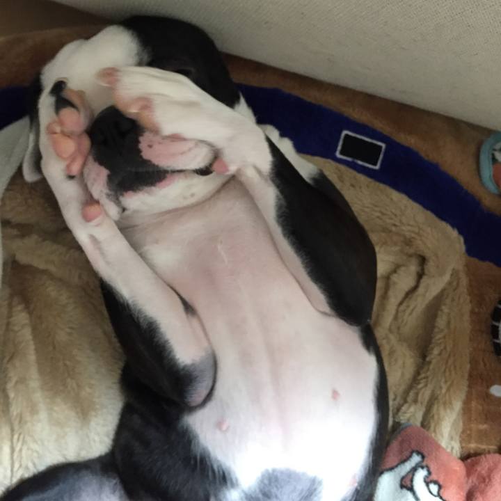 94d1f99e 3b82 4501 837a bec470aa8ed0