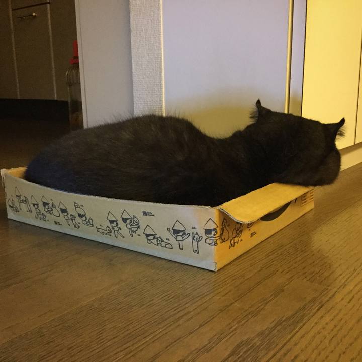 94d24454 8dea 4caa 9890 9866f16d7510