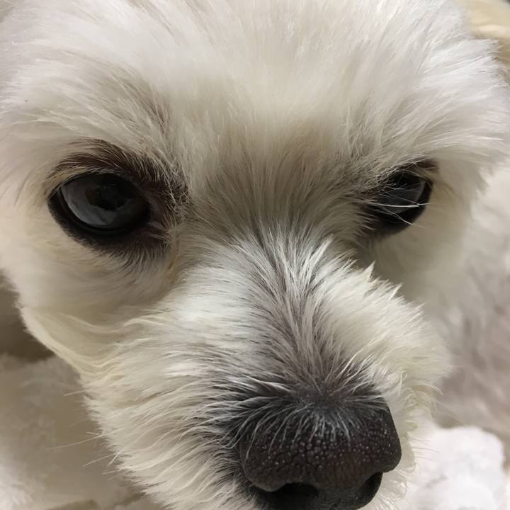 94d322eb 18ac 4b36 8bc6 50b9e1c40203