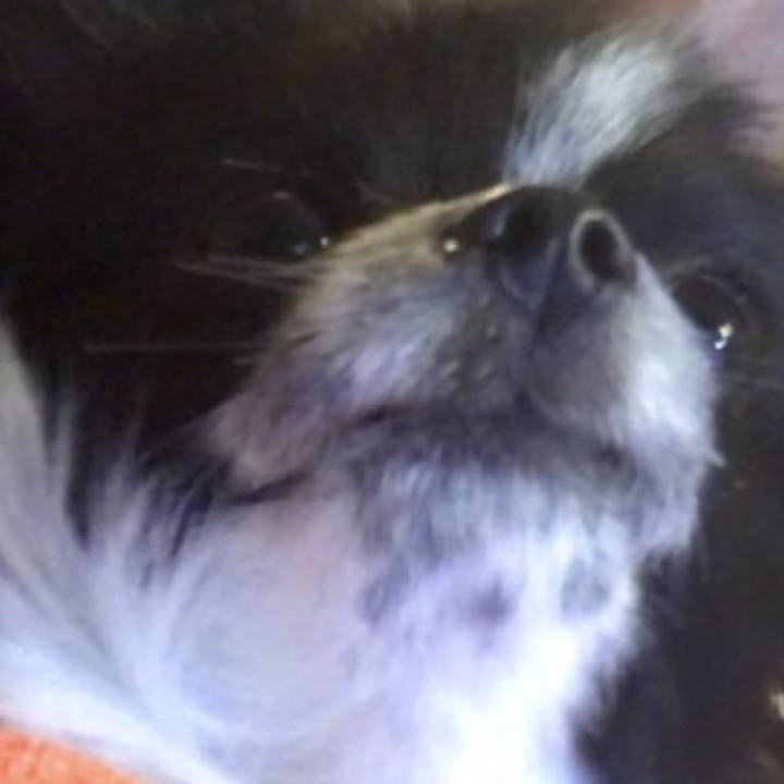 94d38ff8 97c6 4b3b a7f1 0d99cddd94cd