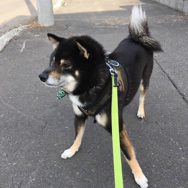 94d3acd1 f1d2 4328 b12e 5d7e1a82ba9e