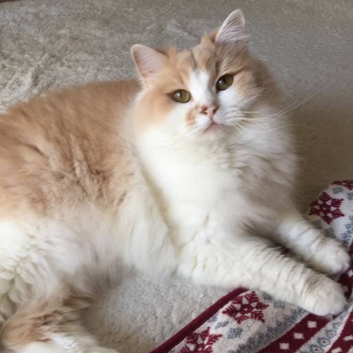 94d42f04 ee8a 47b5 9638 dfe3a704644f