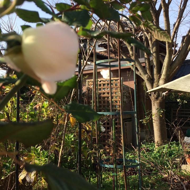 94d4f145 43cb 4d94 a9f5 e60888b56562