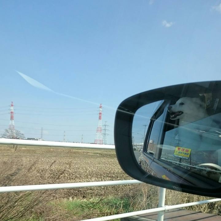 94d4fdbf 48bf 4c38 ac2d b75a7788eb23