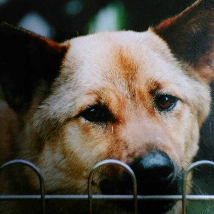 94d571ce 6c8e 46c9 8778 b35da9fa4f35