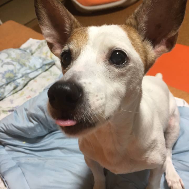 94d58fb3 b9a4 4bf4 ad0b 510645e59b14