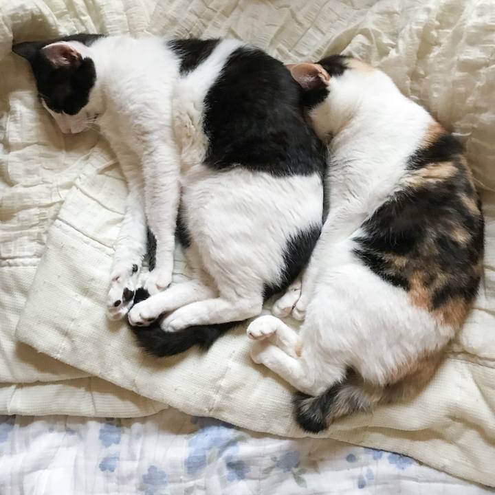 94d59b49 a446 40c5 bdc7 d53238b4c89e