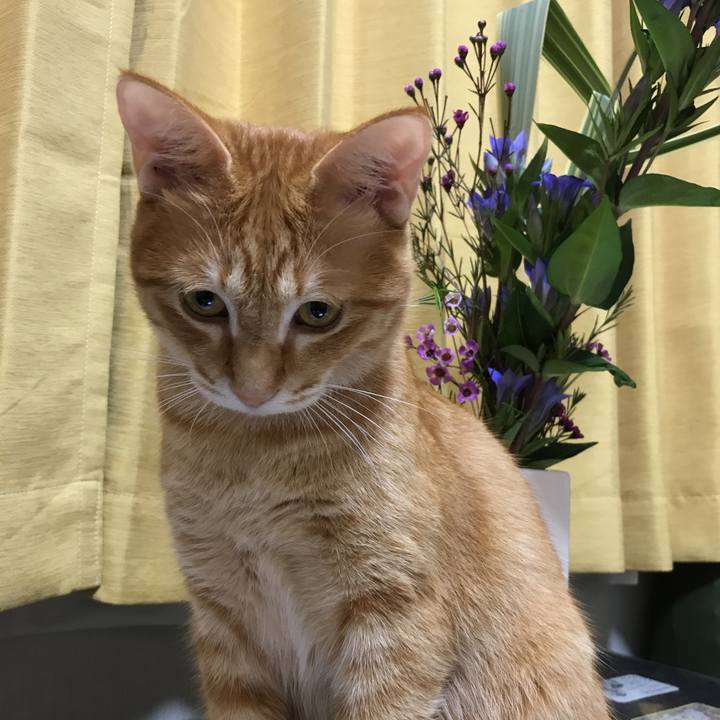 94d59d4d b673 434a af00 d393c0de2f00