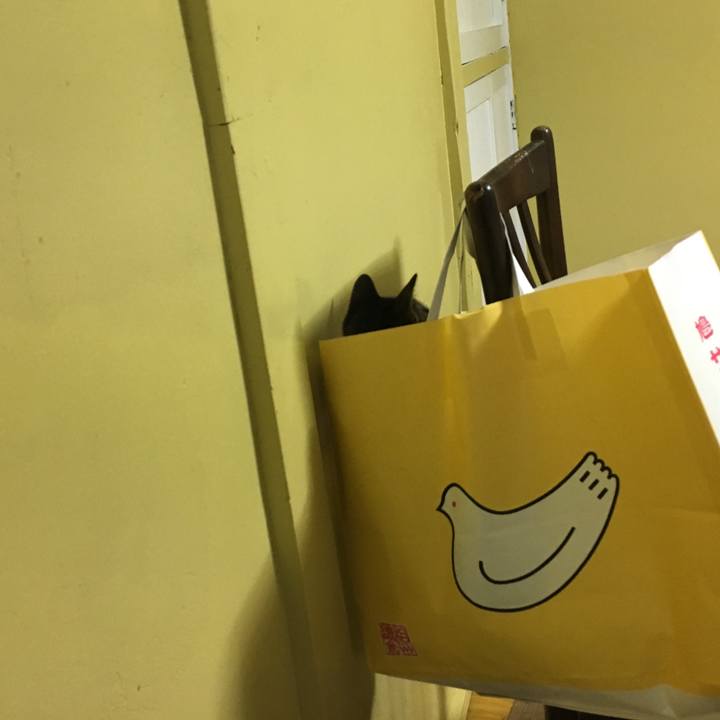 94d5efc3 8695 495f 85a9 a70116f86c8e