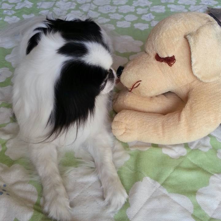 94d64262 d4f0 456b 9587 a3bc140c797b