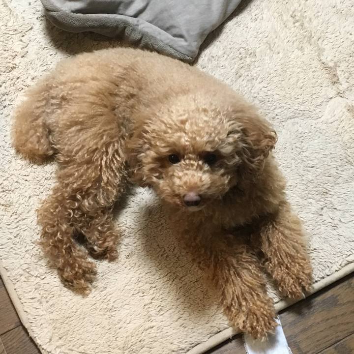 94d69007 bb69 40e8 8120 a230c7fda1ee