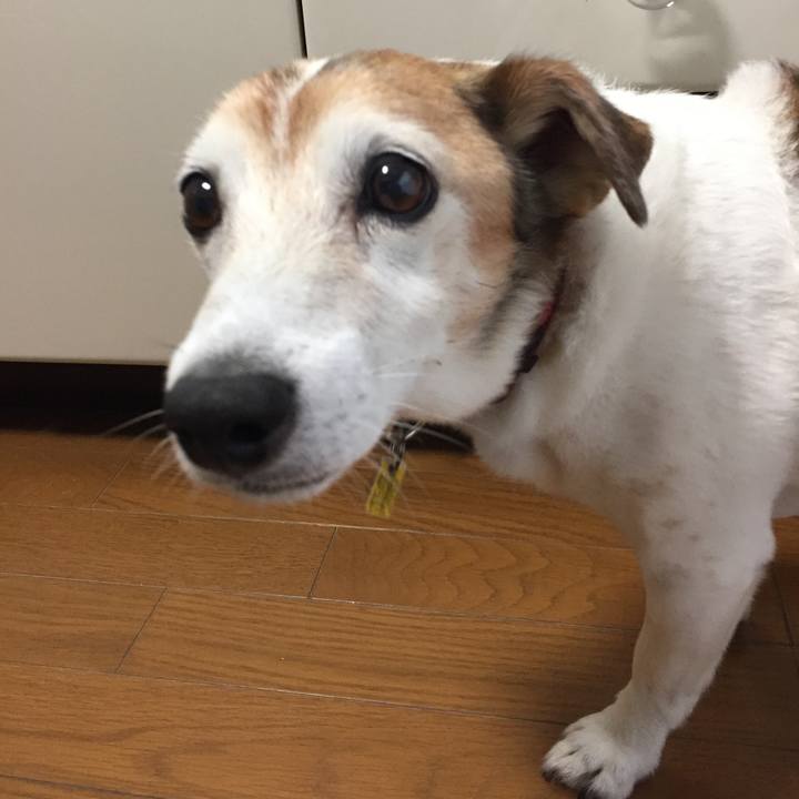 94d6f59f 36e1 40ab b6e7 b5f67d9a0c50