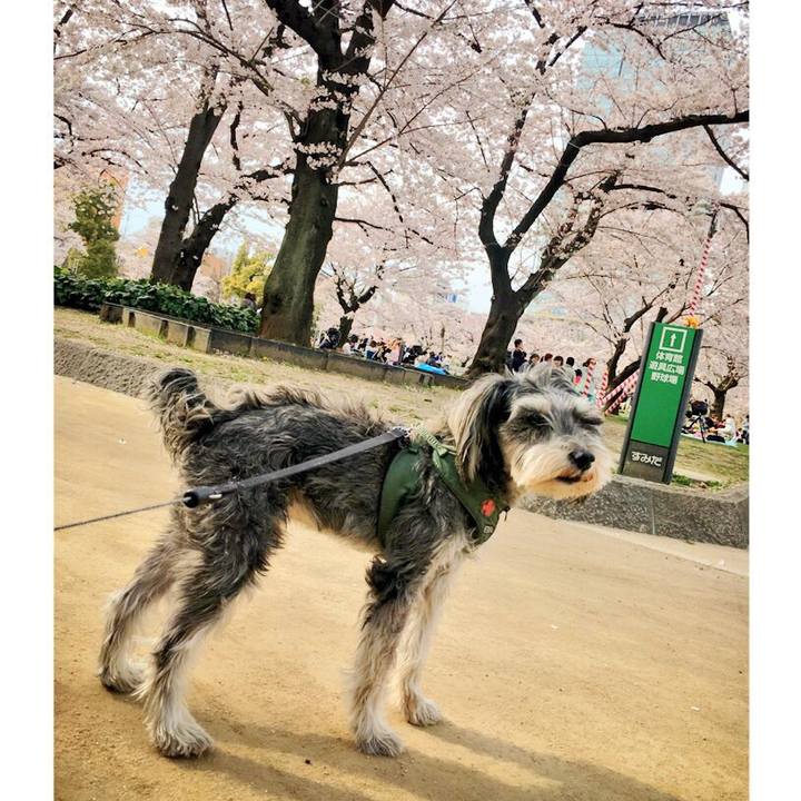 94d72095 214a 41ff aba6 685a6b9de9c6