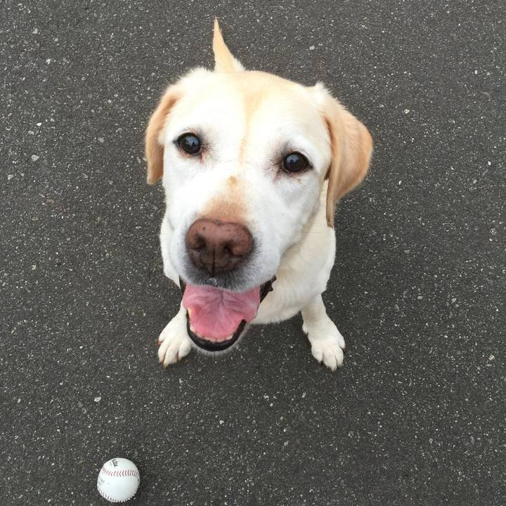 94d7b8e2 a879 4341 a7d8 c6c96ff801f2