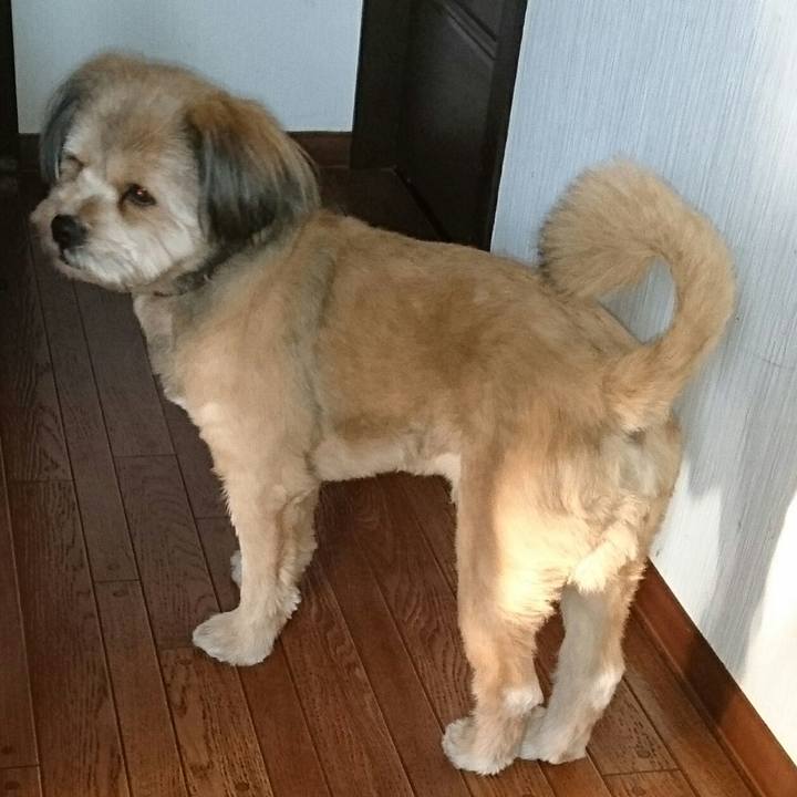 94d85068 b784 4a40 ac3c 536e24ac937e