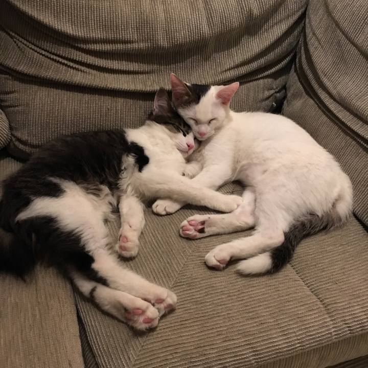 94d86d2b 5e48 4192 85c6 5d1873e5a78d