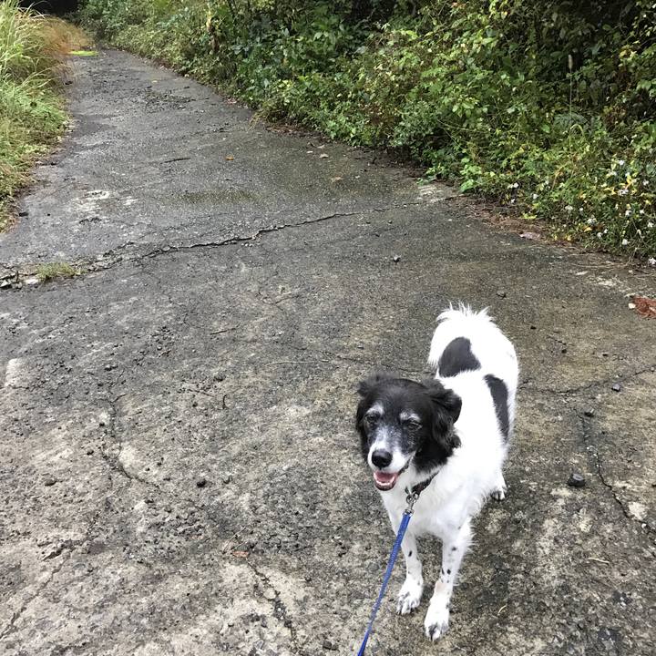 94d87e2d d9e6 4644 876c c91e9de2c332