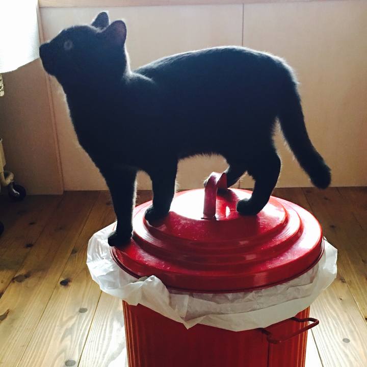 94db3fb5 43bd 4bab b560 a95e28fbdfa9