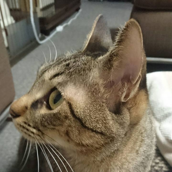 94db52a3 ed0a 4a1e 9474 8284701f9b17