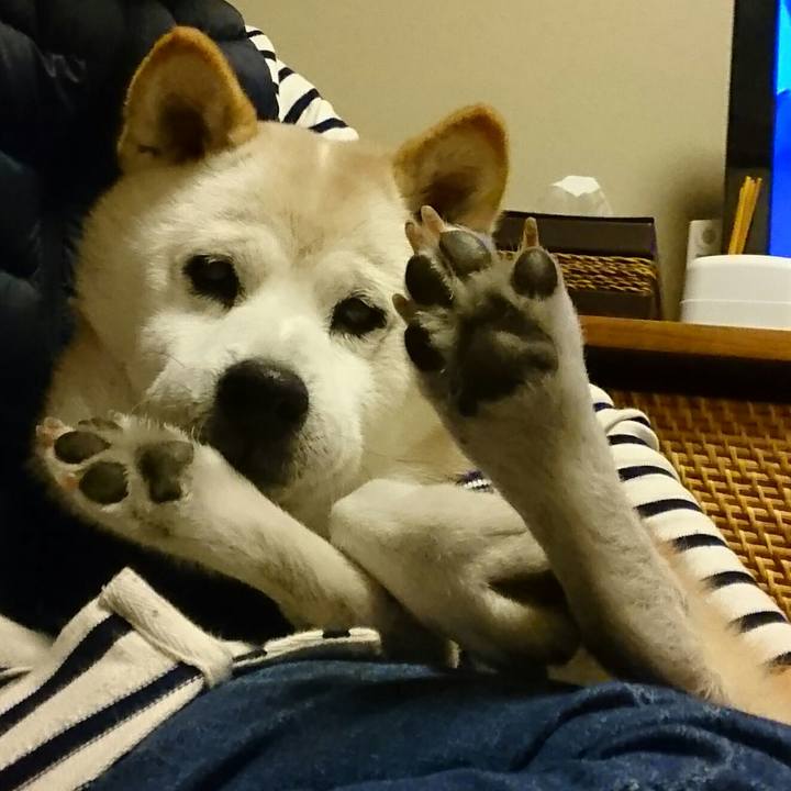 94db5462 469b 4955 a927 16b0f1b1f26f