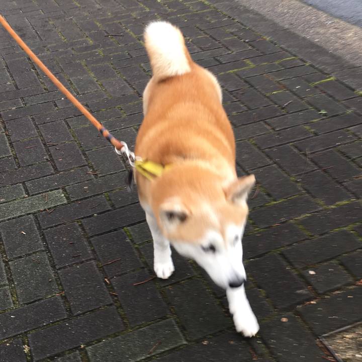 94db767f 83fd 489f b731 a1e9f023256d