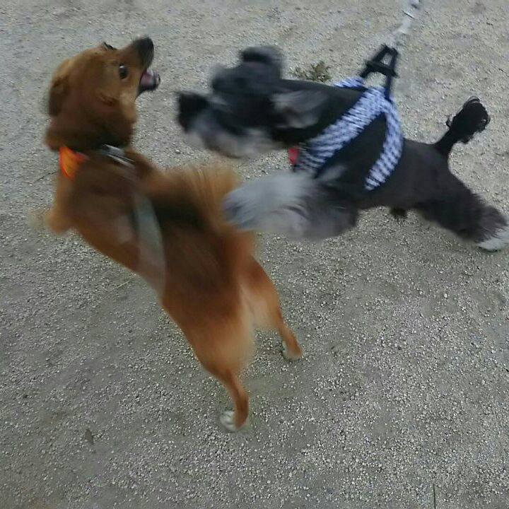 94dc82dc be75 4f2d 9a04 e75221f6465b