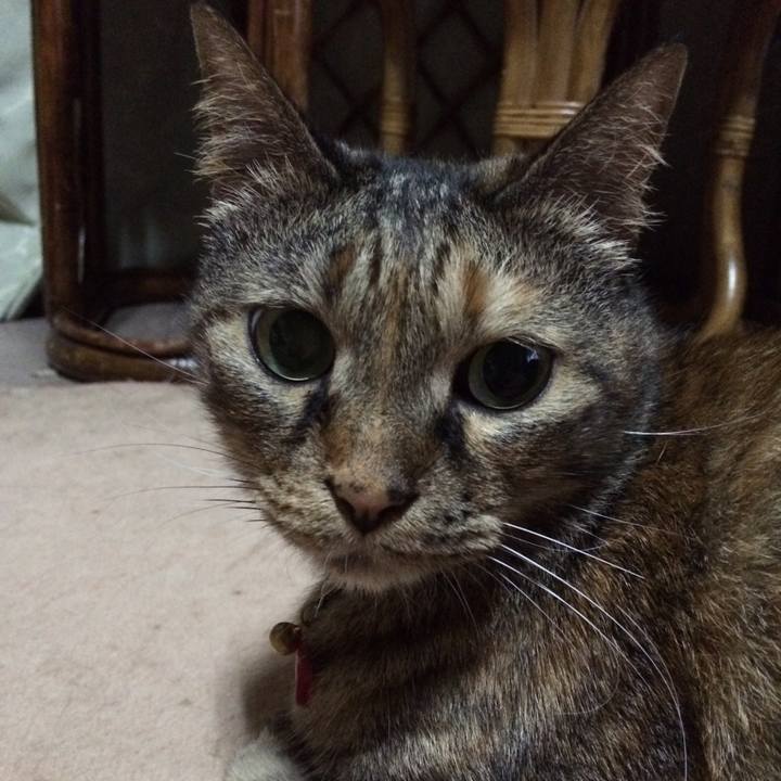 94dc8aec 0f0b 4008 ad84 ee97874614ab