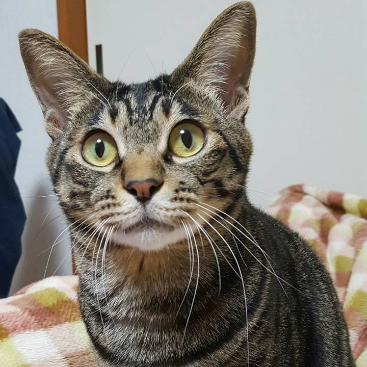 94dc8ed6 cf82 4f52 b240 859341593ca7