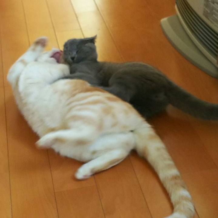 94dcc73f c7db 4463 857d a357477eae32