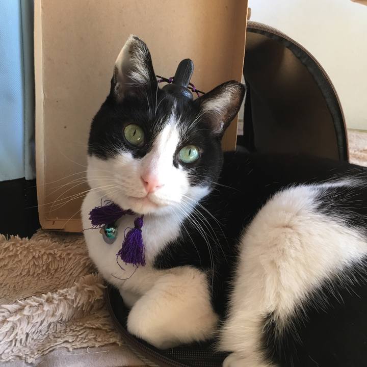 94dd18f2 0749 41ea bf78 4942ac2fb283