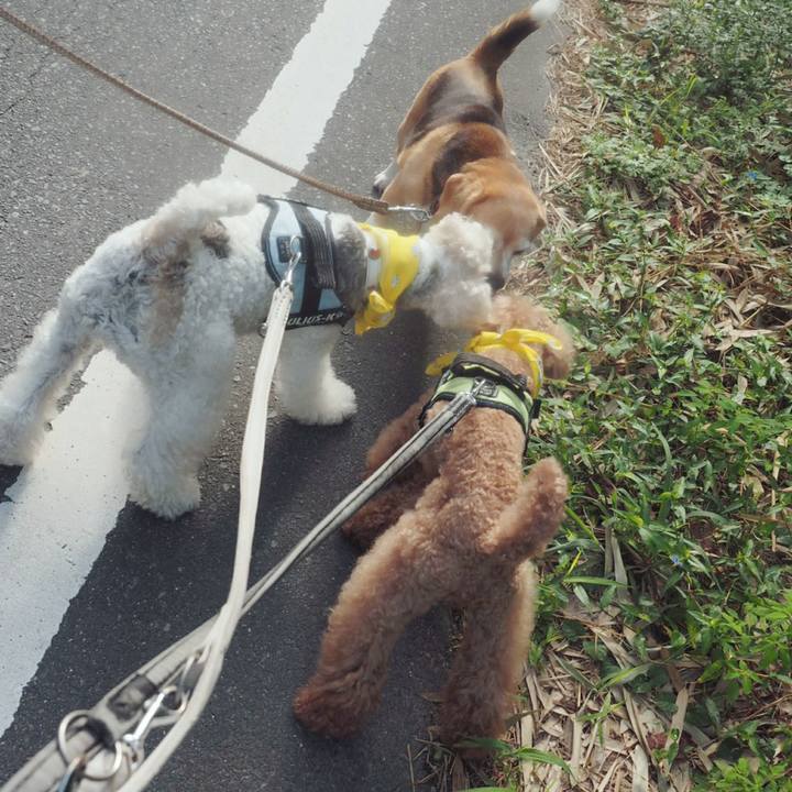 94dd6e89 af94 45df aefd 1bb9cbfe3363