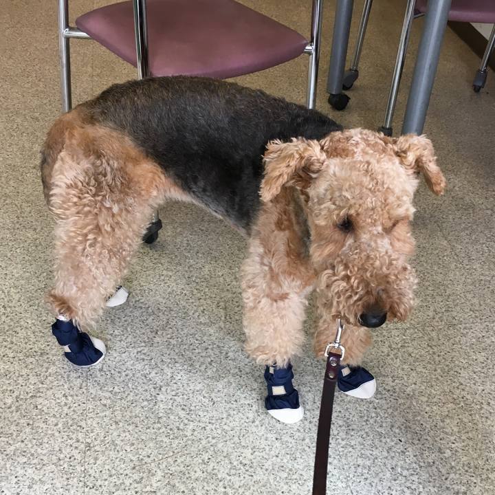 94de4219 da7d 4e2b 92f7 7961d9c92b2a