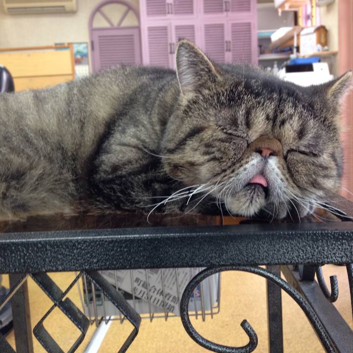 94dedc5b 0541 4b42 9f95 92039473c39c