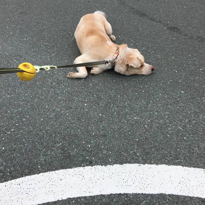 94df37df c0ba 4968 b9c9 69a3799f2699