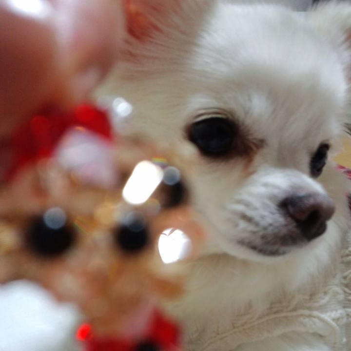 94df802f d79a 444c 85ad 98552019e452