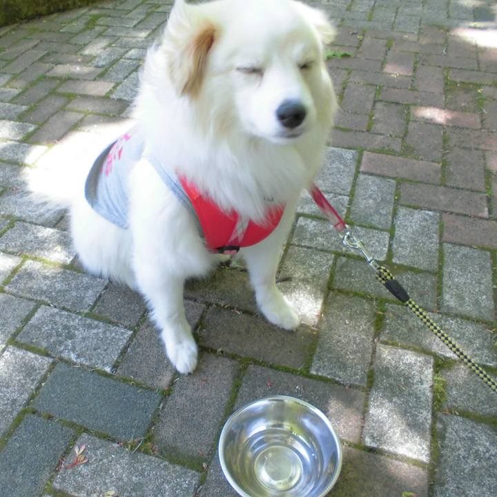 94dfa788 e312 4037 bce5 778c6ed2c870