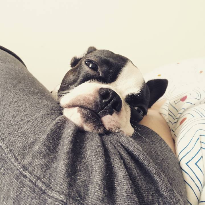 94e00b76 e9f0 4f45 b07a 62e259540f71