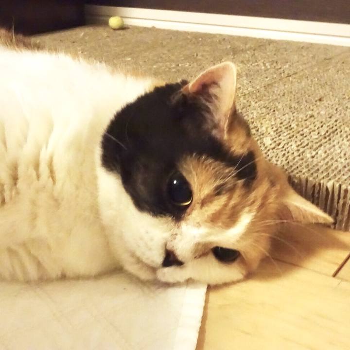 94e02382 5ddf 4a9d b714 e2bd30353c51