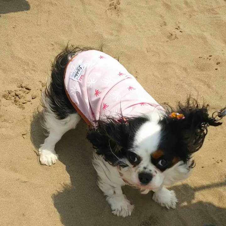 94e06a54 2fb5 4f0e a12a ee3412cb9726