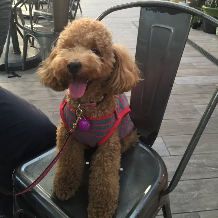 94e0838c 9370 42bc 893e b881539e46cb