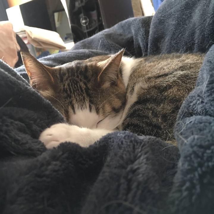 94e0a7a2 4dbb 47f6 a580 b6dffc2a1e31