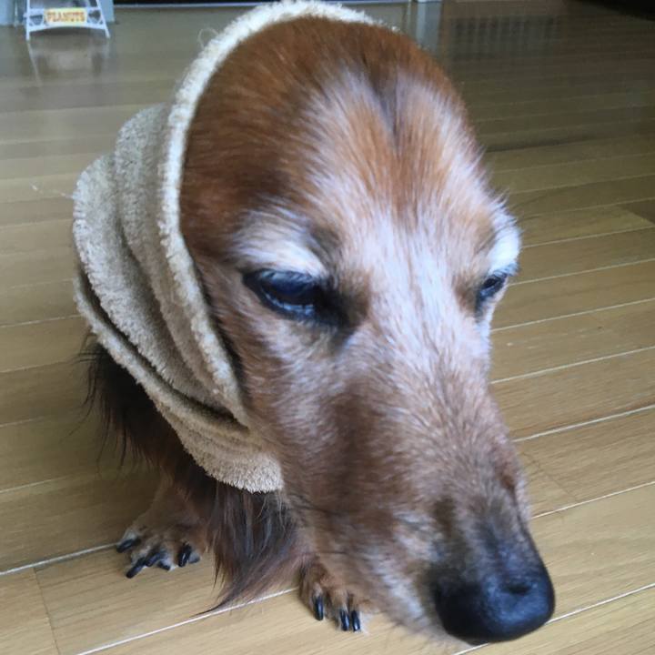 94e0aa88 5886 4b23 8ea4 d9651199c3cb