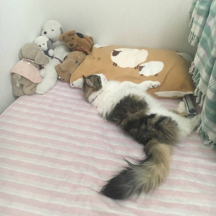 94e12b58 37cc 43bd 9c08 8321408670b3