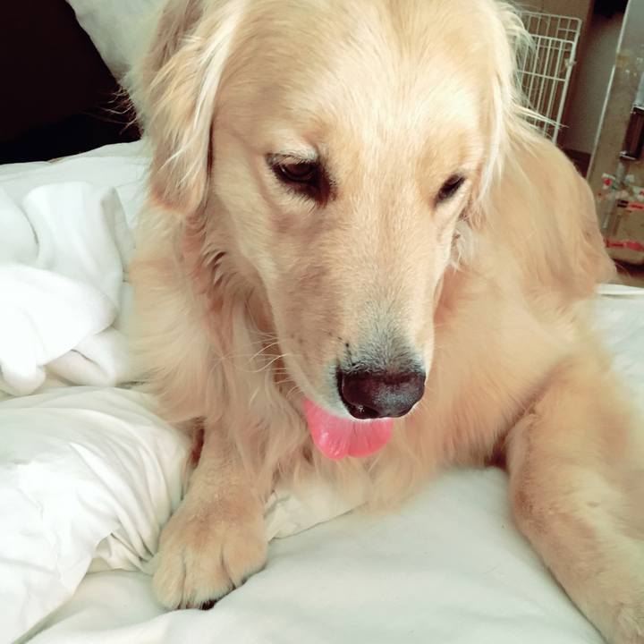 94e27326 b3a5 4f15 8b3a 20d079111971