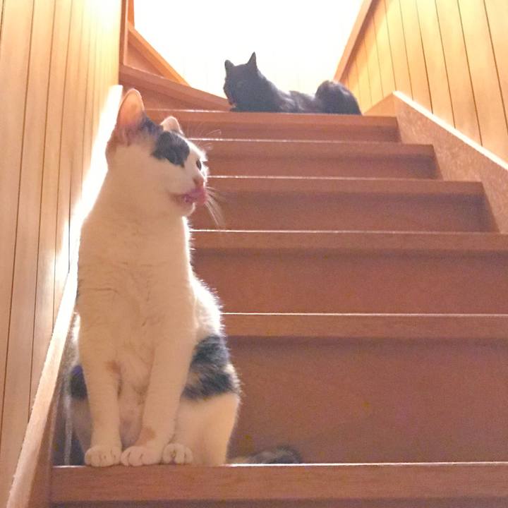 94e28d6e eb92 46eb a42d eb5eb9b806a1